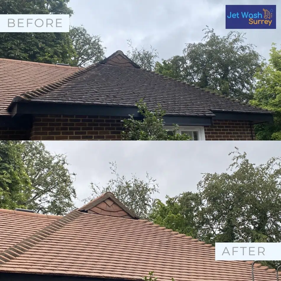 Roof cleaning company Surrey
