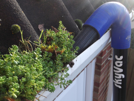 Jet washing guides - Spot the key signs your gutters need cleaning