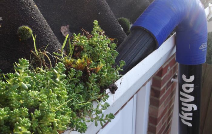 Jet washing guides - Spot the key signs your gutters need cleaning