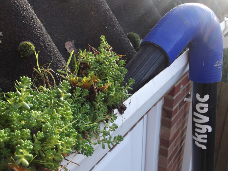 Jet Wash Surrey – Signs Your Gutters Need Cleaning Jet washing guides - Spot the key signs your gutters need cleaning