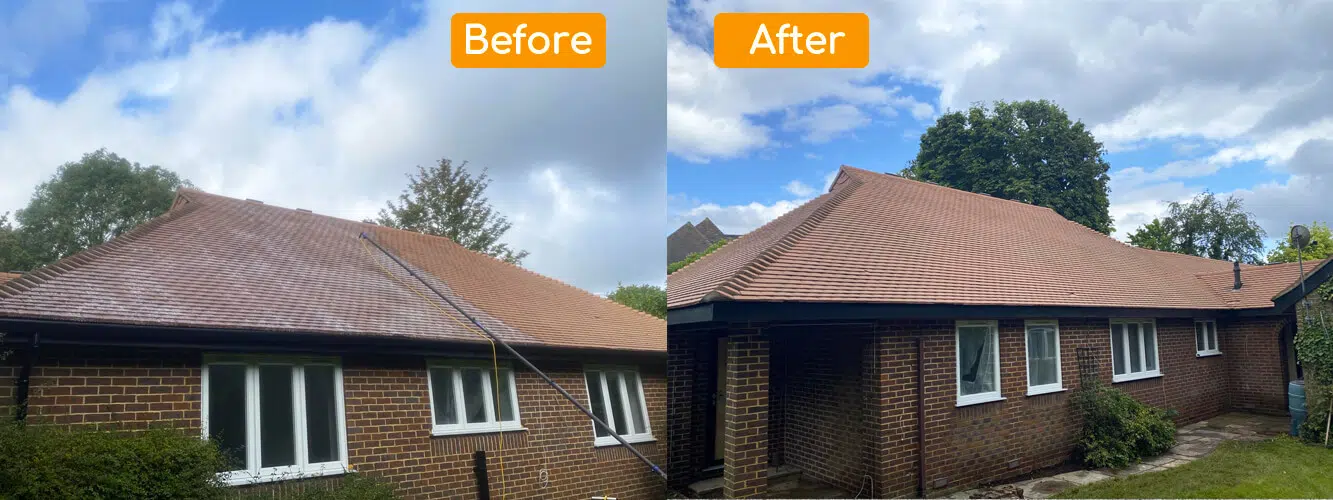 Professional roof cleaning service in Guildford, Surrey.