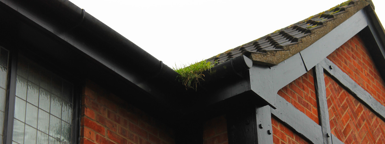 Local gutter maintenance Berrylands