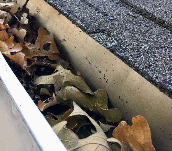 Local gutter maintenance Carshalton Beeches