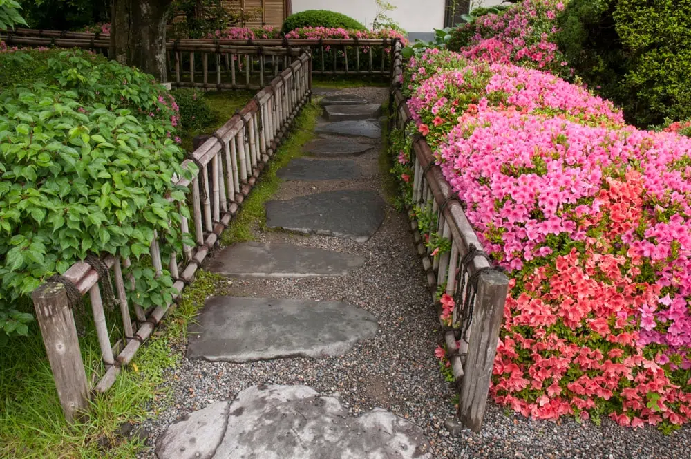 jet-washing-stained-garden-paths