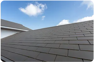 menu-roof-cleans