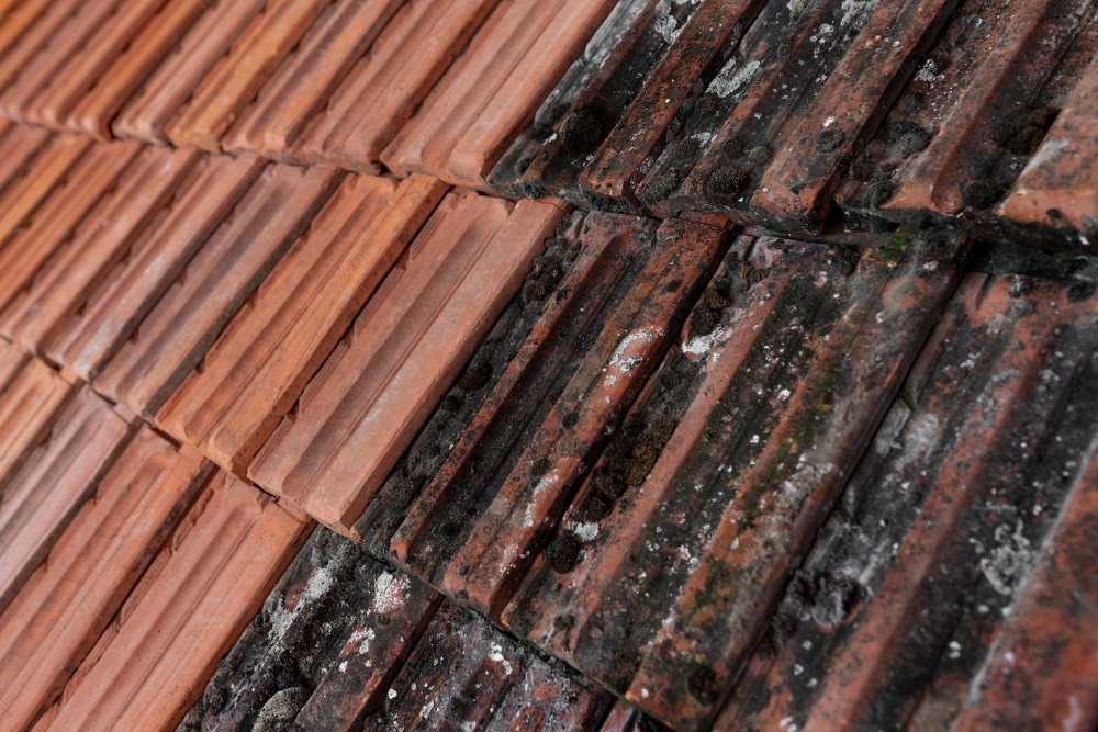 Roof tile cleaning services near Esher