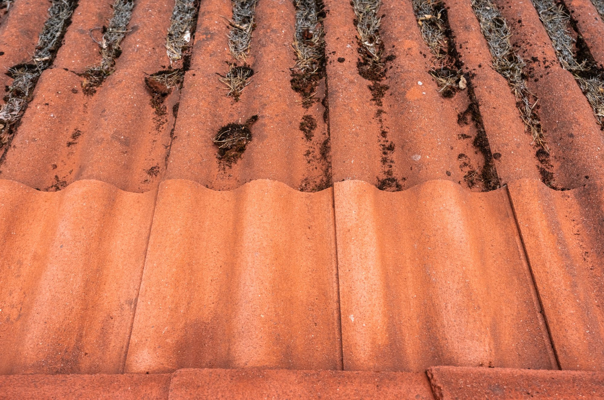 Roof tile cleaning services near Cobham