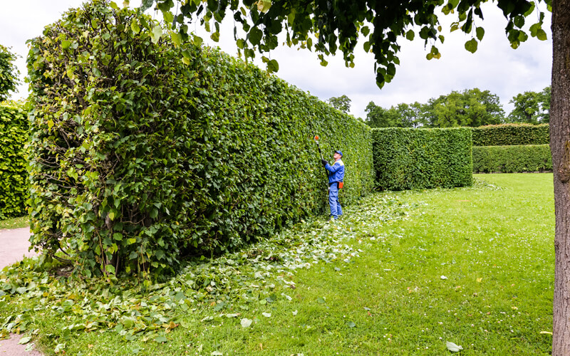 service-external-grounds-maintenance Factory exterior cleaning in Surrey
