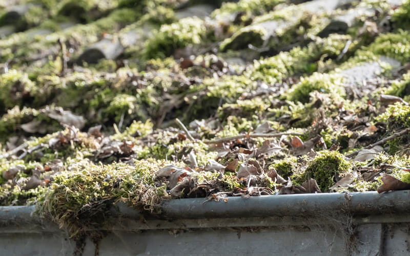 service-external-moss-removal-locally Factory exterior cleaning in Surrey